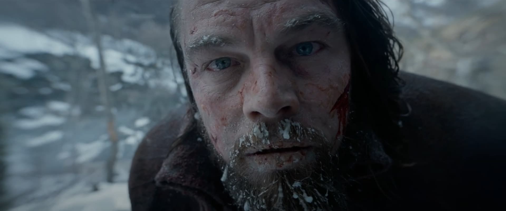 Il primissimo piano: Frame del film The Revenant