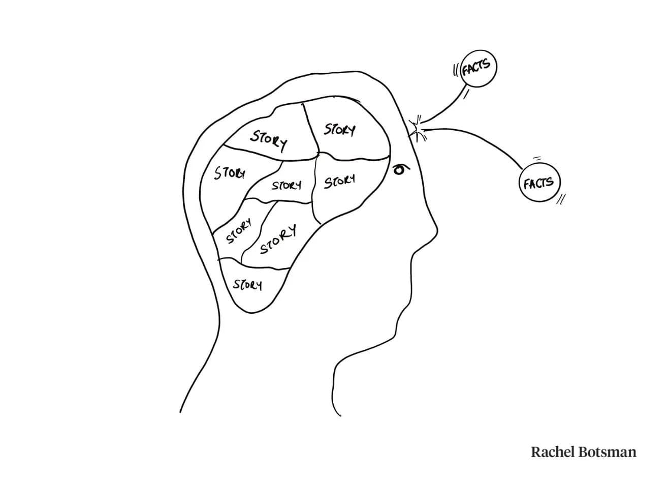 Cos'è la neuronarratologia - Illustrazione cervello e narrativa