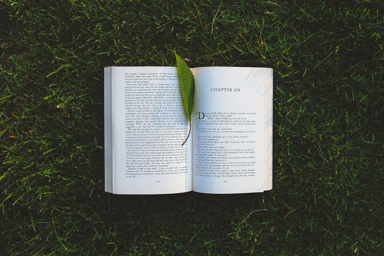 Cos'è un paragrafo - Foto di libro sull'erba