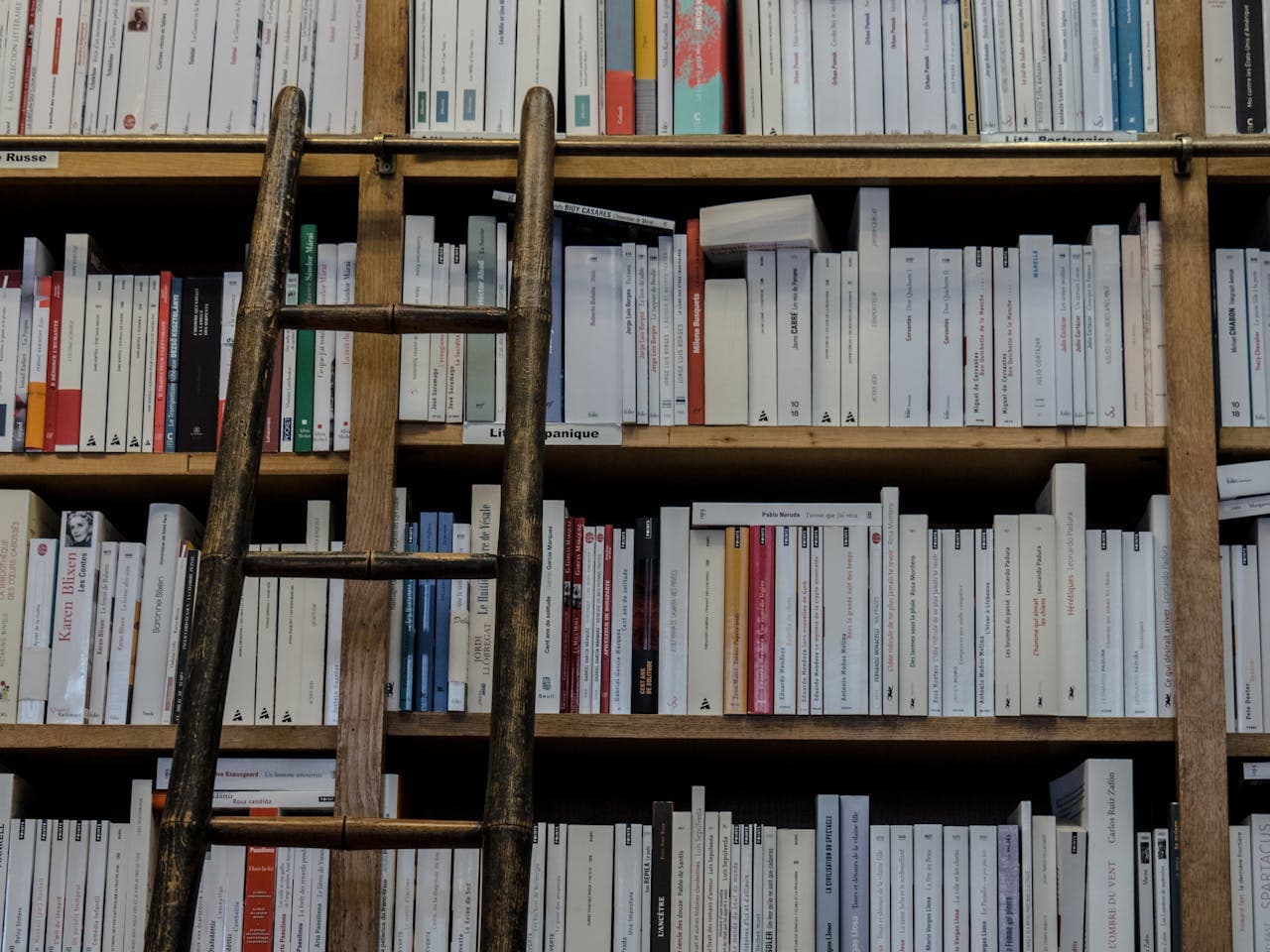 I migliori libri di scrittura creativa - Foto di una libreria